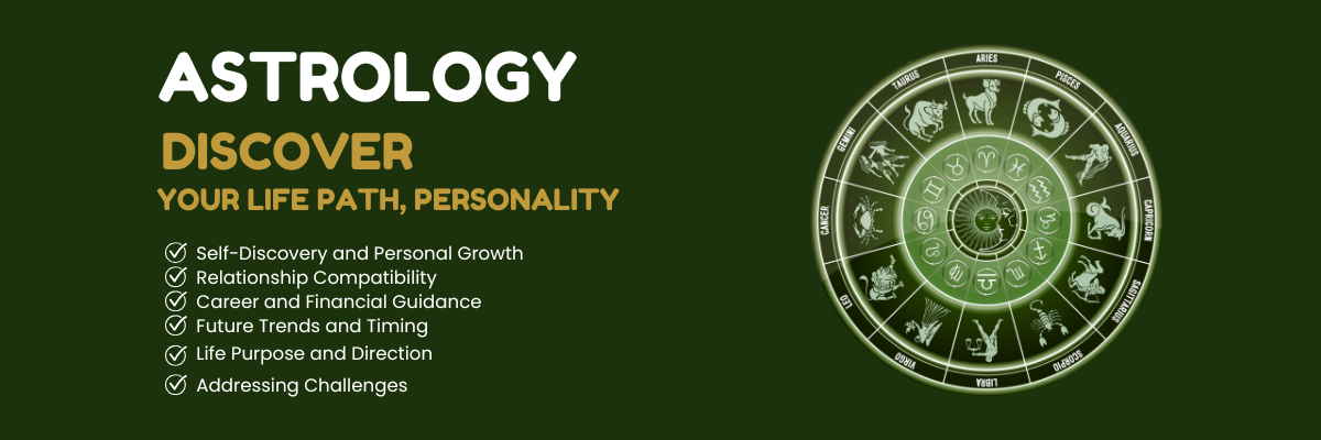 Website Design & Development Company in Delhi | Noida | Gurgaon