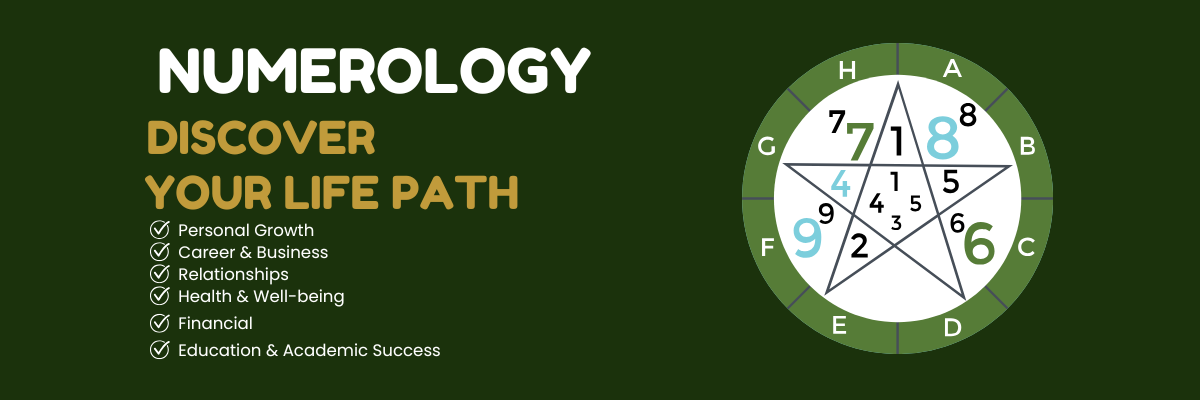 SEO Service Provider Company in Delhi | Noida | Gurgaon